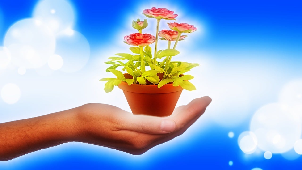 教师节，尊重与感恩的独特表达——老师站门口不让学生带礼物的深层意义