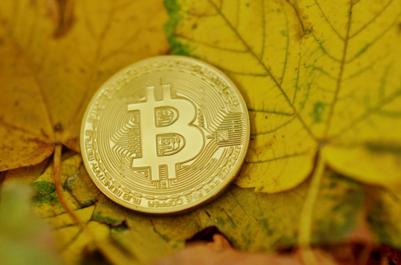 深挖潜力，把握未来——投资机会与策略分析