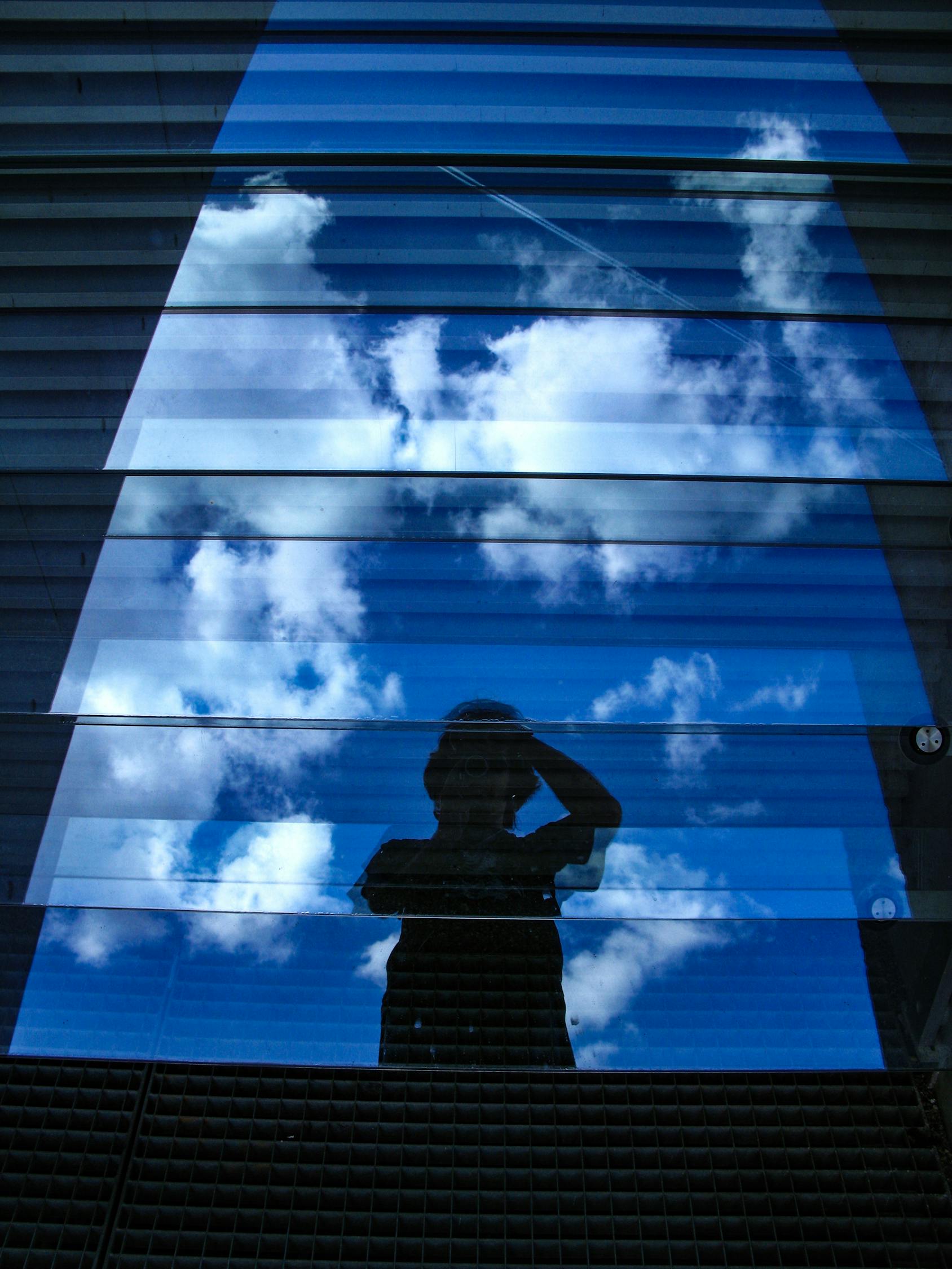 中国电信A股跌停,市场反应与未来展望 中国电信A股跌停,市场反应与未来展望