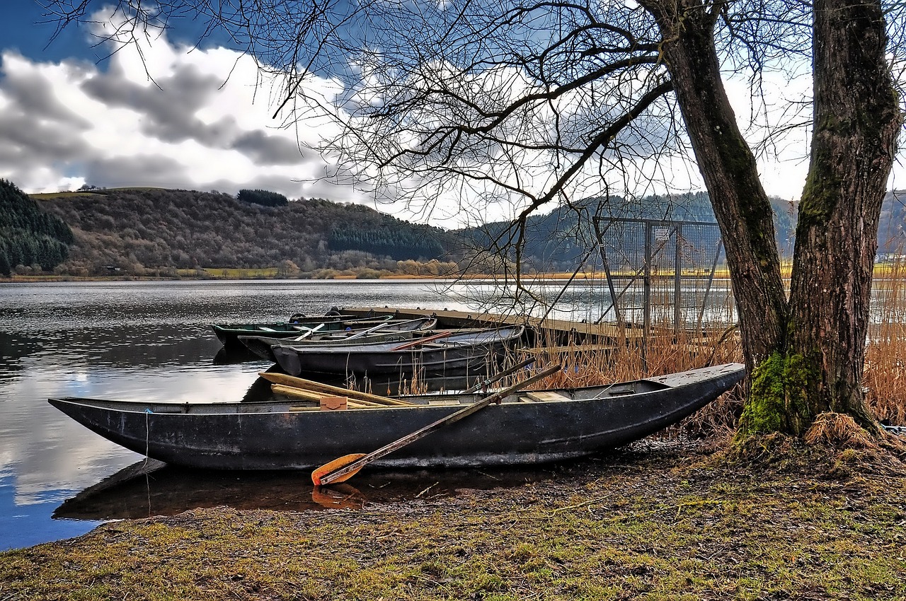 揭秘酷基金,每日净值背后的投资智慧与市场动态 揭秘酷基金,每日净值背后的投资智慧与市场动态