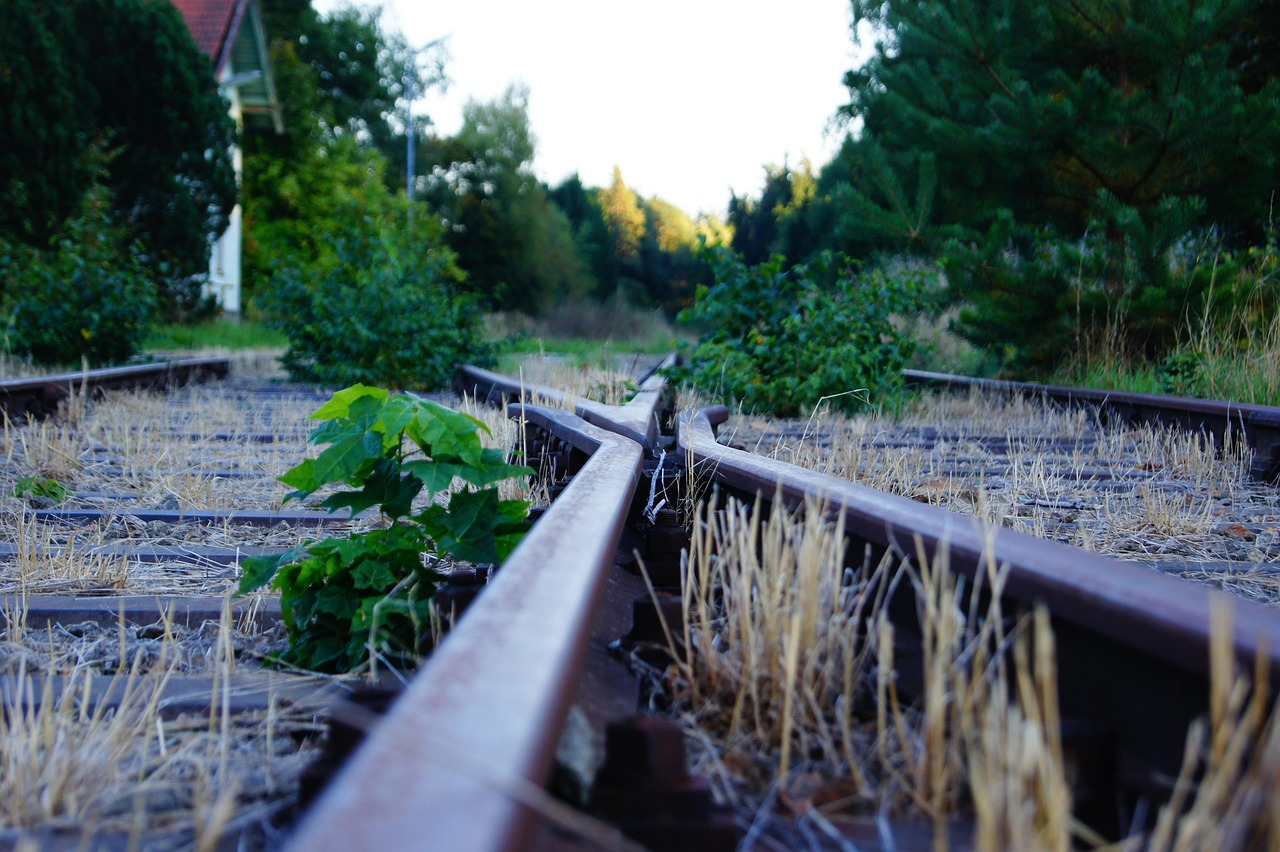 陕西疫情新动态，两例阳性病例的轨迹与防控措施