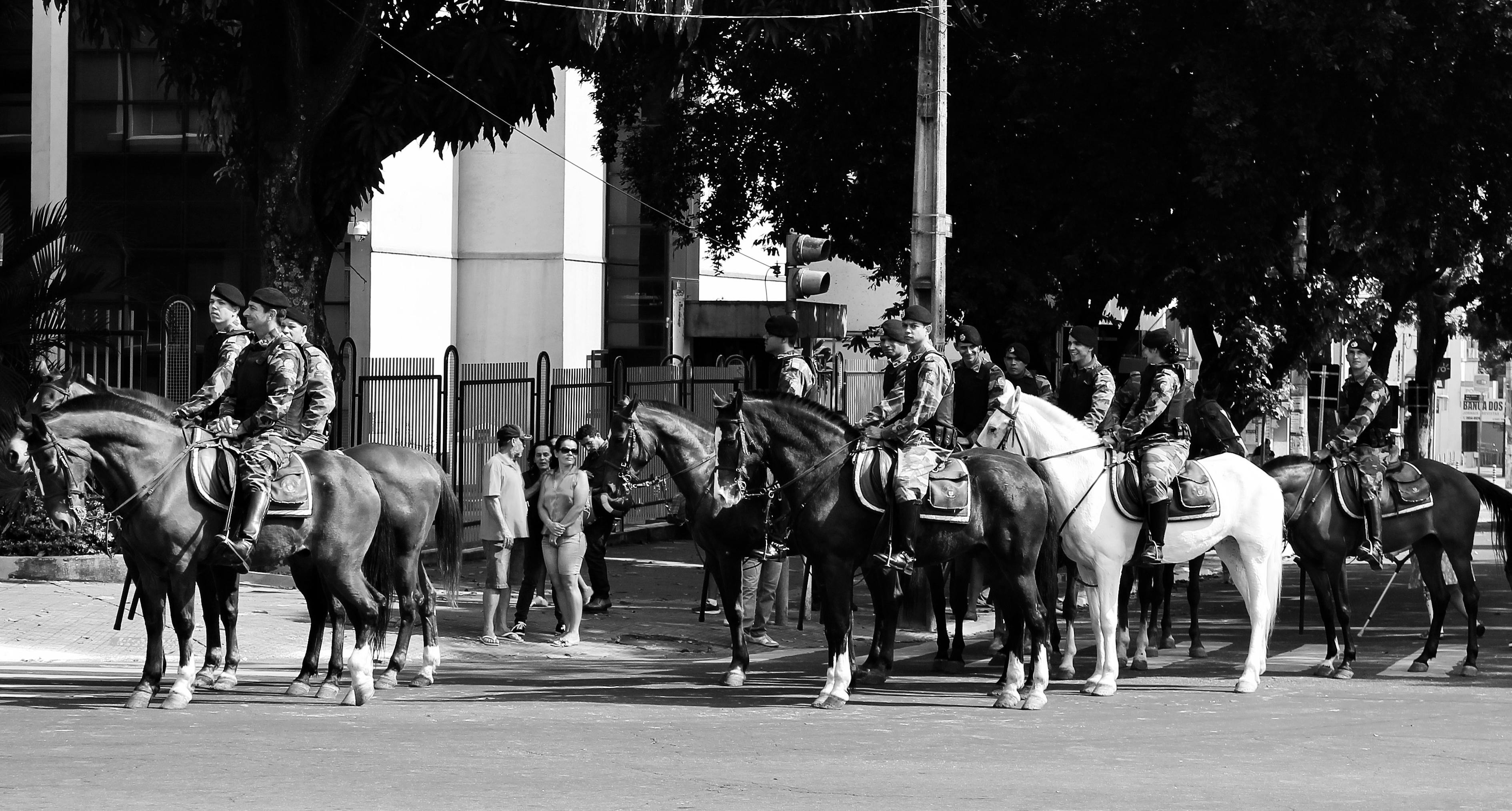 上海金山街头的英勇行为,男子当街砍人事件的反思与社会治安的探讨 上海金山街头的英勇行为,男子当街砍人事件的反思与社会治安的探讨