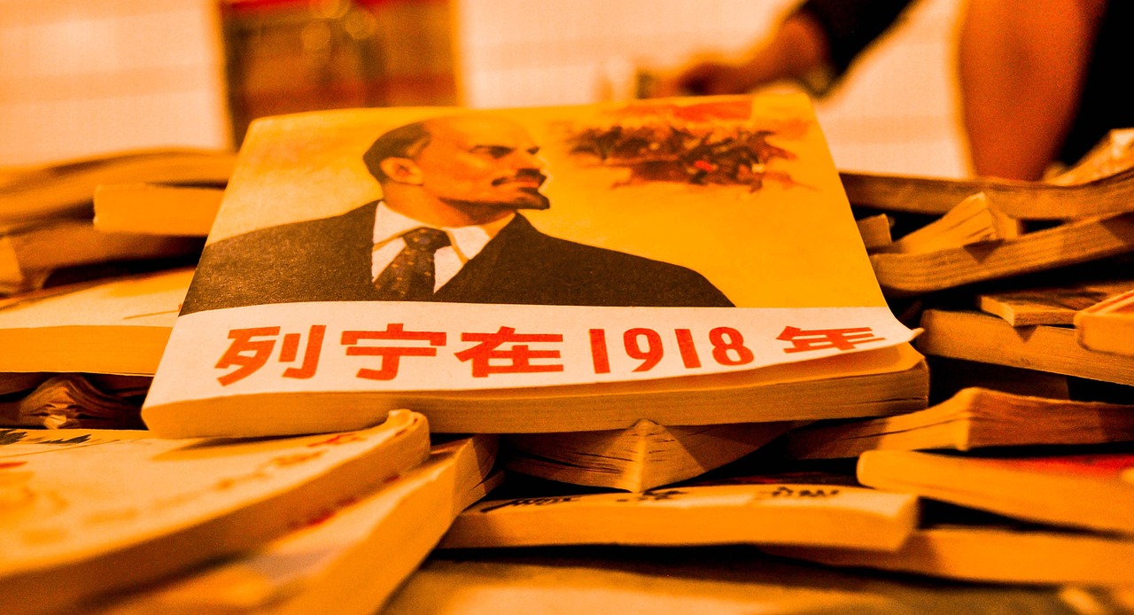 深入解析688253，中国股市中的新星